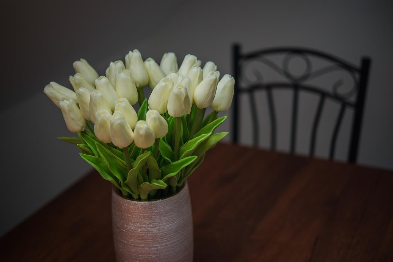 Dorothy Apartman Siofok Dış mekan fotoğraf
